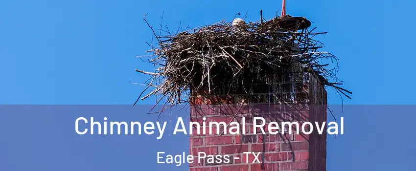 Chimney Animal Removal Eagle Pass - TX