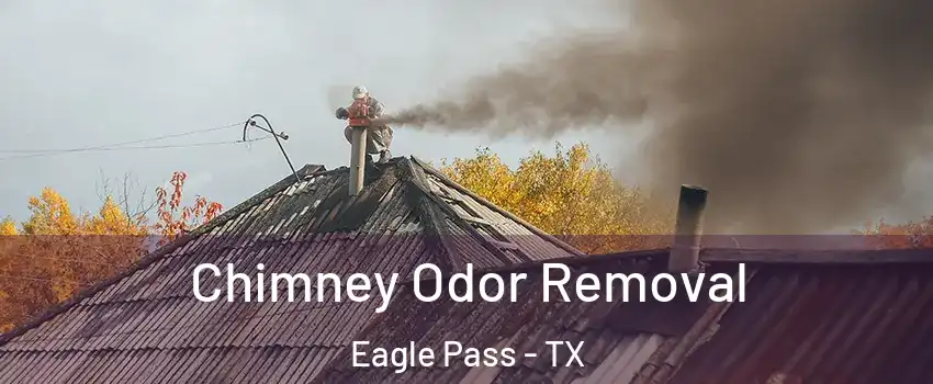  Chimney Odor Removal Eagle Pass - TX
