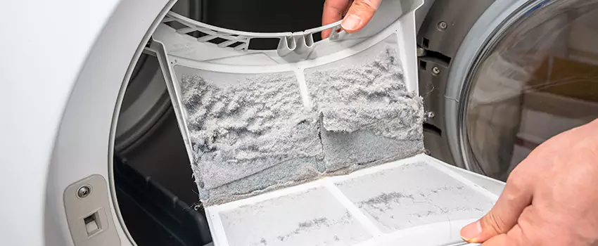 Best Dryer Lint Removal Company in Eagle Pass, Texas