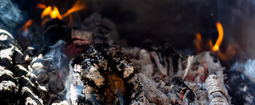 Creosote Removal Experts in Eagle Pass, TX
