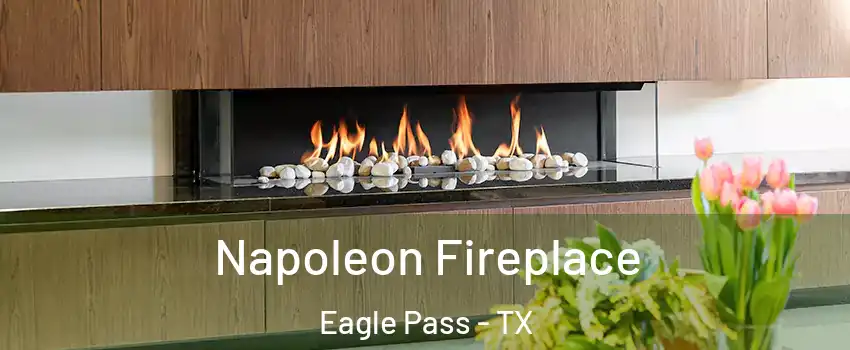  Napoleon Fireplace Eagle Pass - TX